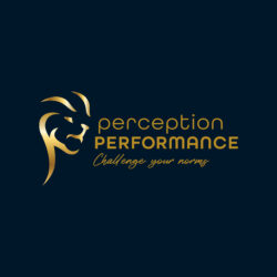 Perception Performance